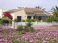 Villa in Playa Flamenca Image